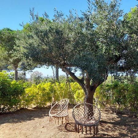 Locanda Degli Scrittori Agrigento Kültér fotó