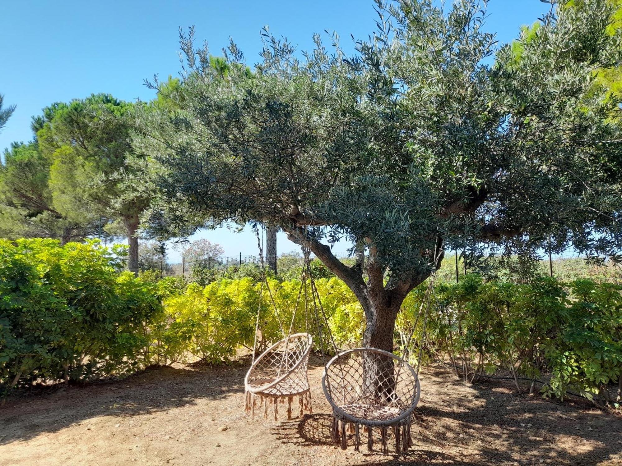 Locanda Degli Scrittori Agrigento Kültér fotó